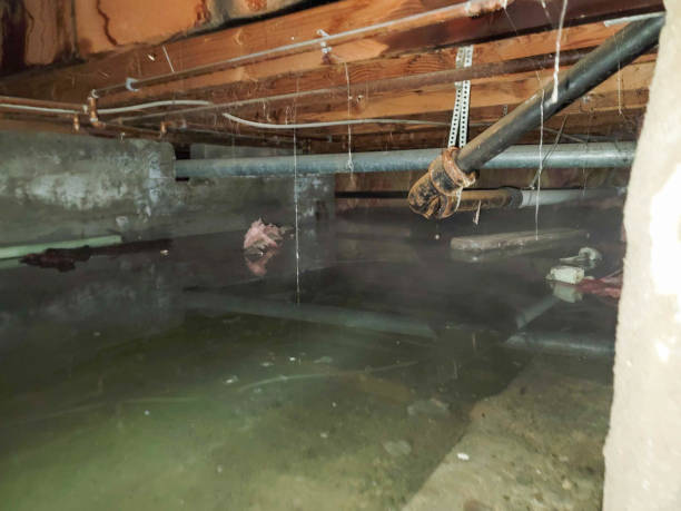 Best Water damage restoration experts  in Sawmills, NC