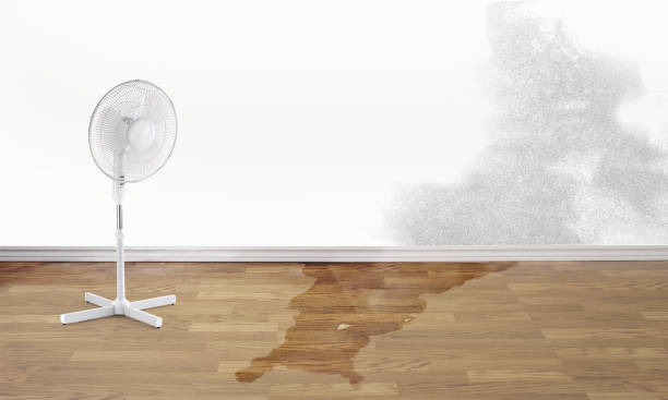 Best Sewage cleanup and water damage restoration  in Sawmills, NC