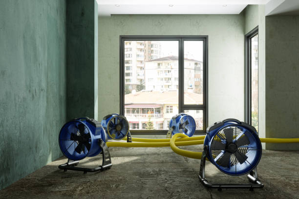 Best Water damage cleanup near me  in Sawmills, NC